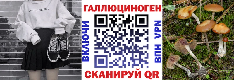 Галлюциногенные грибы Magic Shrooms  Устюжна 