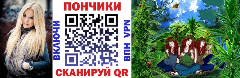 Шишки марихуана гибрид  Устюжна 